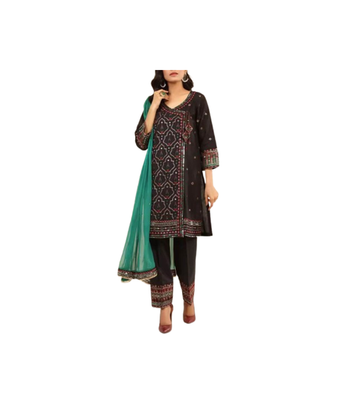 Elegant Salwar Kameez
