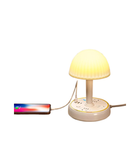 Socket Panel with USB Multi-Hole